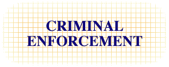 Criminal Enforcement